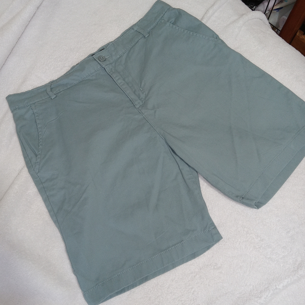 Grizzly Griptape Men’s Chino Shorts Size 36 Sage Green Casual Skatewear